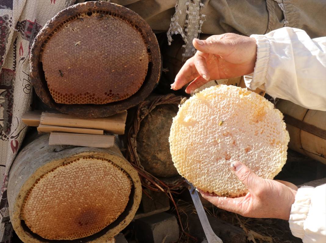 Terörün susturduğu köy, arılarla tekrar hayat buldu 9